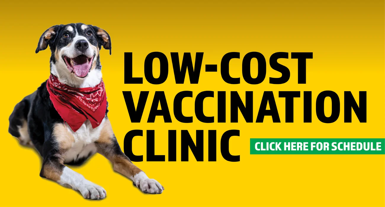 Nurturing Every Pet Since 1981